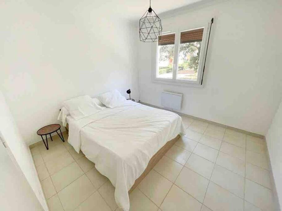 Appartement Spacieux Avec Parking Gratuit Sète Zewnętrze zdjęcie